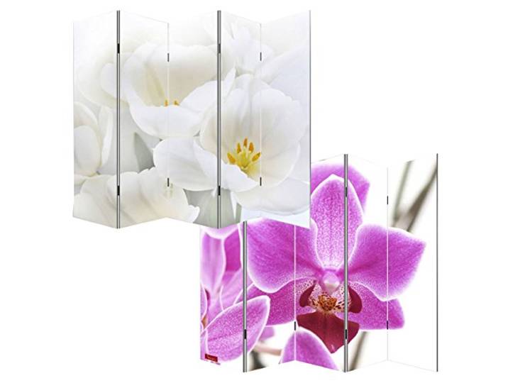 Mendler Foto-Paravent M68-180x200cm - Orchidee
