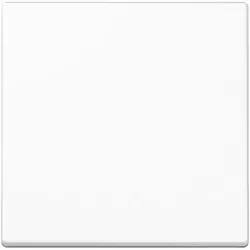 Jung Steuertaste Standard A 1700 WW