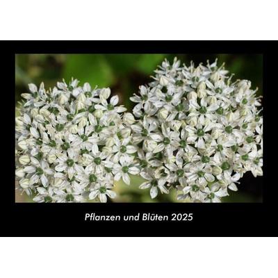Pflanzen und Blüten 2025 Fotokalender DIN A3