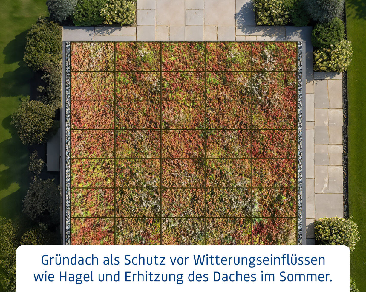 EcoStar Dachrahmen für Gründach Pultdach Typ 3 grün
