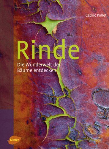 Cédric Pollet - Rinde: Die Wunderwelt der Bäume entdecken - Preis vom 13.10.2026 19:28:25 h