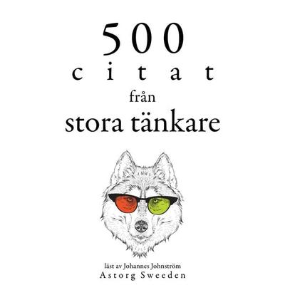 500 citat från stora tänkare - Martin Luther King,Laozi,His Holiness the Dalai Lama,Charles Baudelaire,Carl Jung, Audio, 9782821158979
