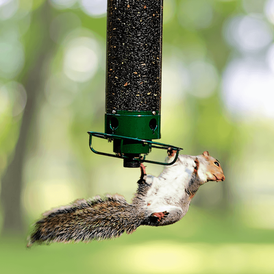 Perfect Picks Market Wrought Iron Hanging Hummingbird Feeder, Squirrel Proof Bird Feeder For Outdoor Garden Wrought Iron Hanging Hummingbird Feeder, Squirrel Proof Bird Feeder For Outdoor Garden