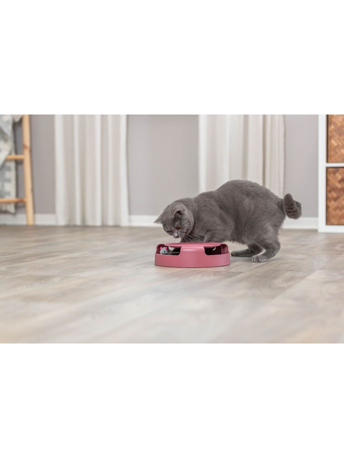 Trixie Fang-die-Maus interaktives Katzenspielzeug verschiedene Farben