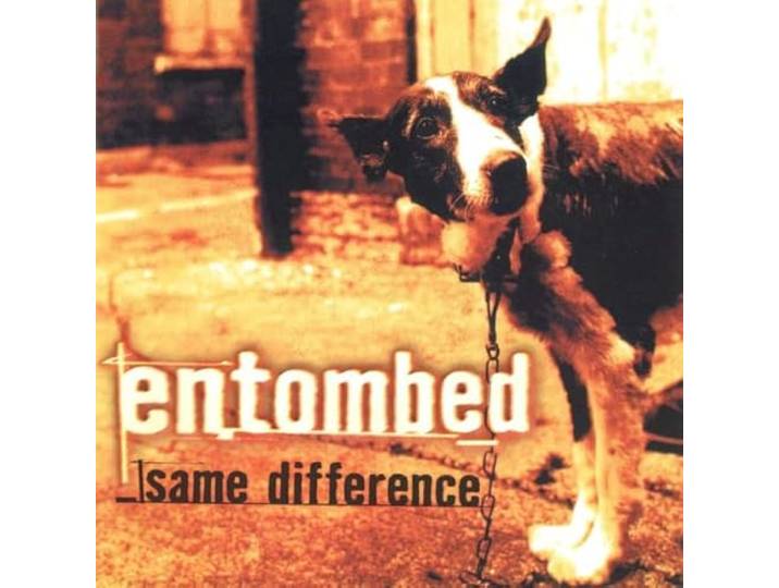 Same Difference