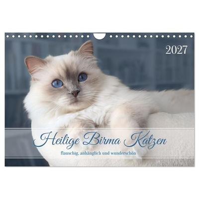 Heilige Birma Katzen - flauschig, anhänglich und wunderschön (Wandkalender 2027 DIN A4 quer), CALVENDO Monatskalender