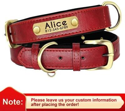 Uplift Essentials Customized PU Leather Nameplate Dog Collar Padded Comfort With Free Engraving red l