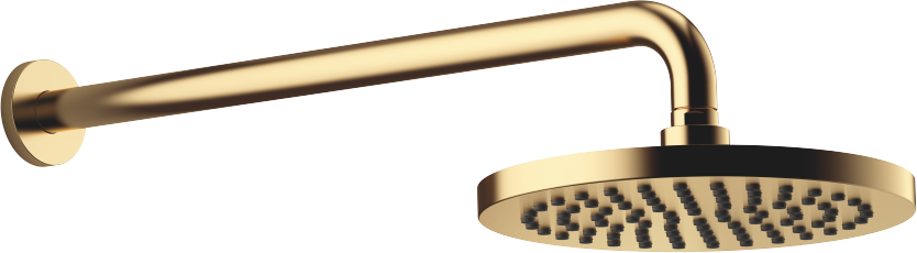 Dornbracht match0 28649970-28 avec raccordement mural, saillie 450 mm, Ø 220 mm, laiton brossé