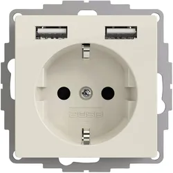 2USB, Steckdose, Schutzkontakt-Steckdose rw-glänzend