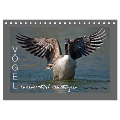 VÖGEL (Tischkalender 2026 DIN A5 quer), CALVENDO Monatskalender