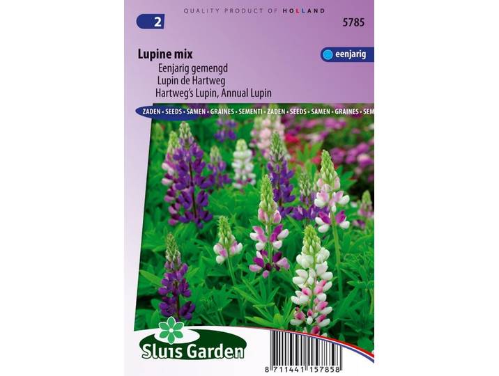 Lupinus Hartwegii zaden Choice Mix Lupine