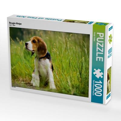 CALVENDO Puzzle Beagle-Welpe | 1000 Teile Lege-Größe 64x48cm Foto-Puzzle für glückliche Stunden