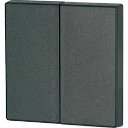 Eaton (Installation) Wippe Serie anthrazit CWIZ-02/04
