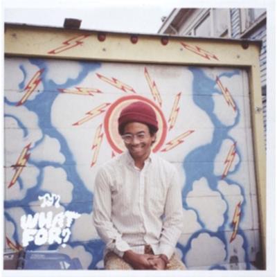 Toro Y Moi: What For? - Toro Y. Moi, CD