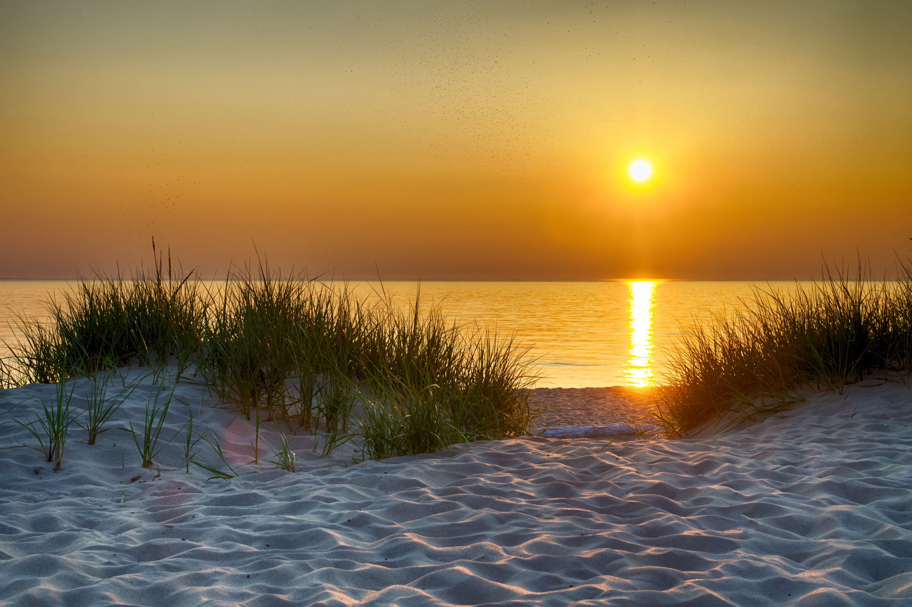 Fototapete PAPERMOON "Dunes Lake Michigan", bunt, B:4m L:2,6m, Vlies, Tapeten, Fototapete bunt B/L: 4m x 2,6m, Bahnen: 8 Stk.