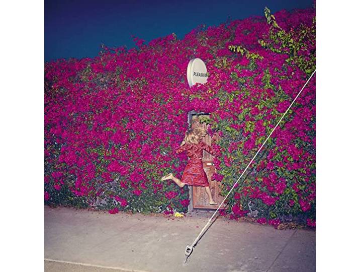 Feist - Pleasure