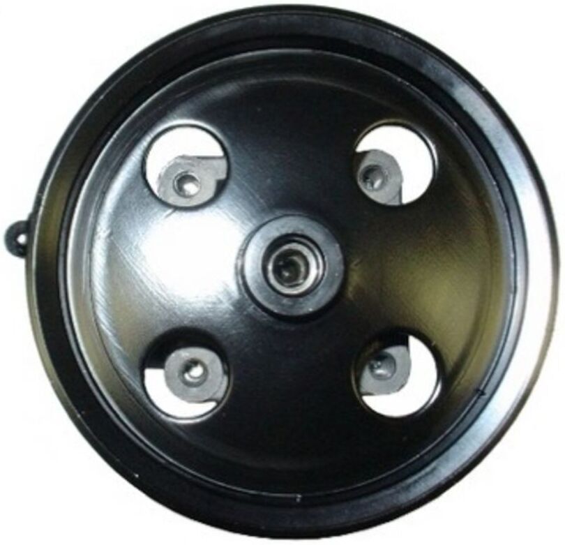 Hydraulische Lenkgetriebepumpe SPIDAN 54071