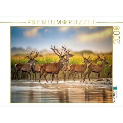 CALVENDO Puzzle Augenblick der Stille. | 2000 Teile Lege-Größe 90 × 67 cm Foto-Puzzle für glückliche Stunden, von , Calvendo Puzzle
