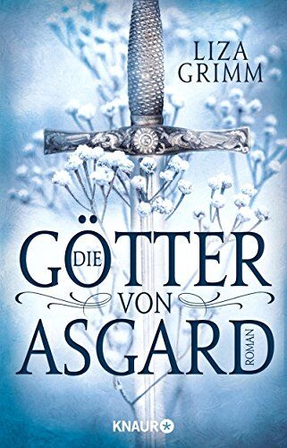 Liza Grimm - Die Götter von Asgard: Roman - Preis vom 16.10.2026 11:41:07 h