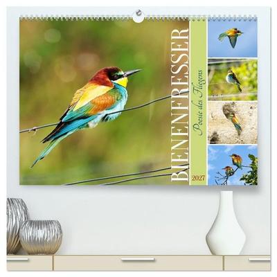 Bienenfresser, Poesie des Fliegens (hochwertiger Premium Wandkalender 2027 DIN A2 quer), Kunstdruck in Hochglanz