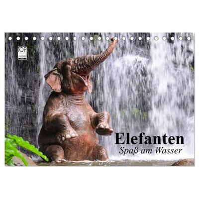 Elefanten. Spaß am Wasser (Tischkalender 2027 DIN A5 quer), CALVENDO Monatskalender