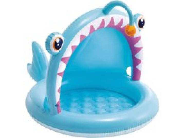 Baby-Pool Angler Fish