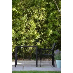 Aria Outdoor-Tisch 80 x 80 x 75 schwarz