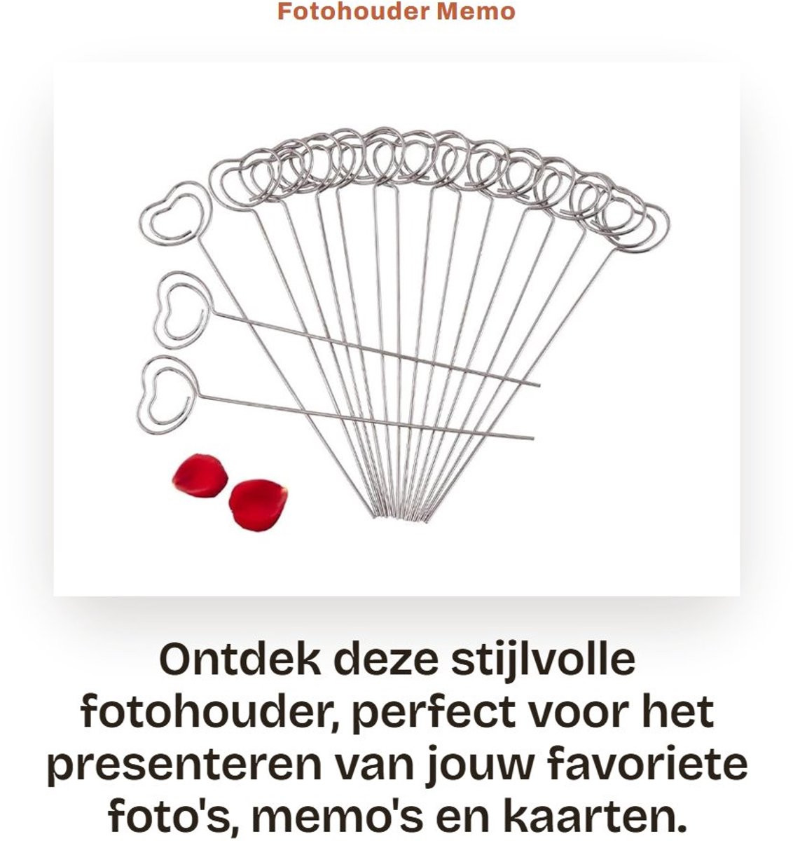 Dailygoods Fotohouder 50 stuks - Houten memohouder met metalen clips