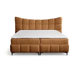 BOXBETT Nova In Rolf