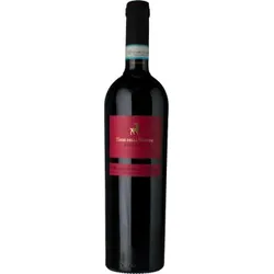 Montepulciano d'Abruzzo Riserva Terre della Brunda 2021 - Botter