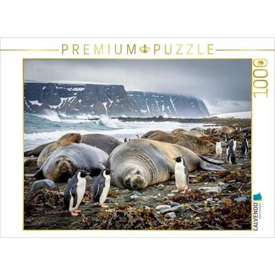 CALVENDO Puzzle See - Elefanten: Groß im Auftritt, sanft im Herzen. | 1000 Teile Lege-Größe 64x48cm Foto-Puzzle für glückliche Stunden, Sonstige von ,