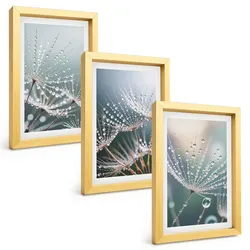 BILDER SET 3er Set - 20x30 cm Goldrahmen - Wassertropfen auf Löwenzahnsprossen