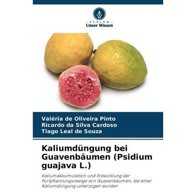 Kaliumdüngung bei Guavenbäumen (Psidium guajava L.) -