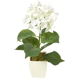 KUNSTBLUME Hortensien creme im Deko-Topf, 38 cm