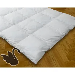 Betty down Classic Daunendecken Warm 200x200 cm 1080g