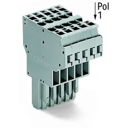 WAGO GmbH &amp; Co. KG 2-Leiter-Federleiste 769-125
