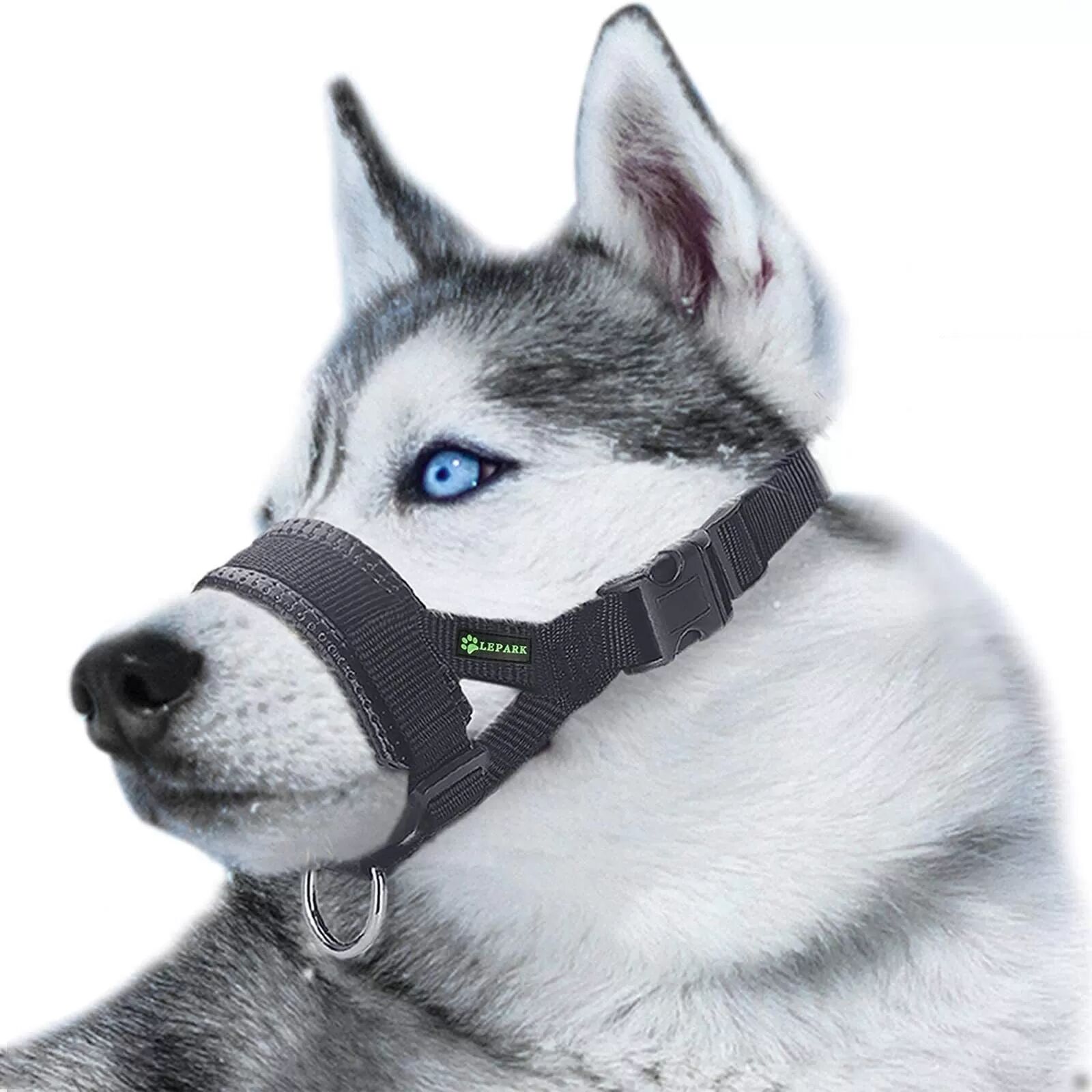 INF Maulkorb für Hunde M