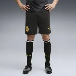 PUMA Herren Shorts BVB 26/27, Größe XL in Silber Silber