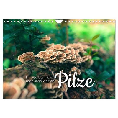Ein Ausflug in die magische Welt der Pilze (Wandkalender 2026 DIN A4 quer), CALVENDO Monatskalender