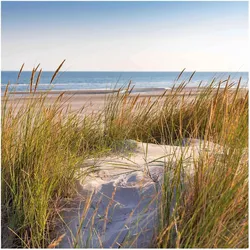 FOTOTAPETE Stranddüne am Meer 192/192 cm