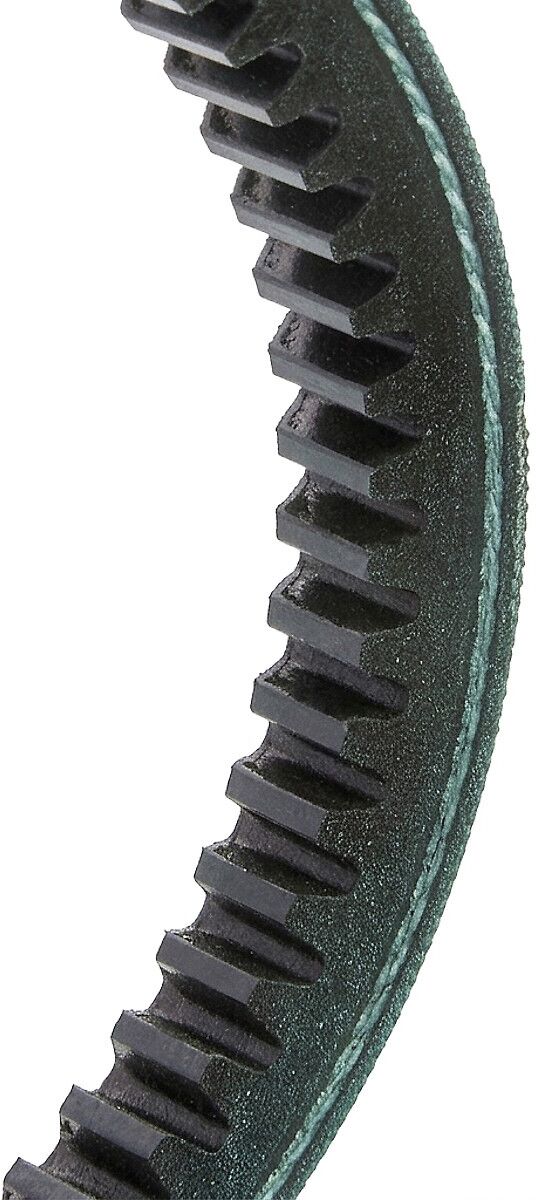 TRUCKTEC AUTOMOTIVE 01.19.187 V-Belt