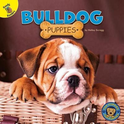 Bulldog Puppies, Taschenbuch von Hailey Scragg, Carson Dellosa Publishing, 978-1-73162-862-6