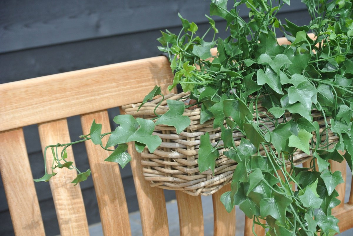 LeopoldFlora Kunststof hangplant klimop, 65 cm, Groen