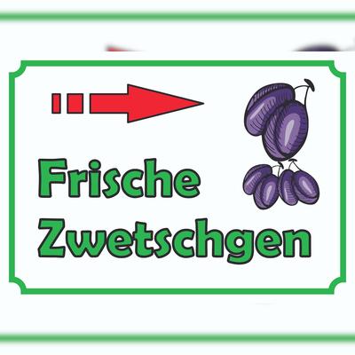 HB-Druck Frische Zwetschgen Schild mit Pfeil rechts A4 (210x297mm)