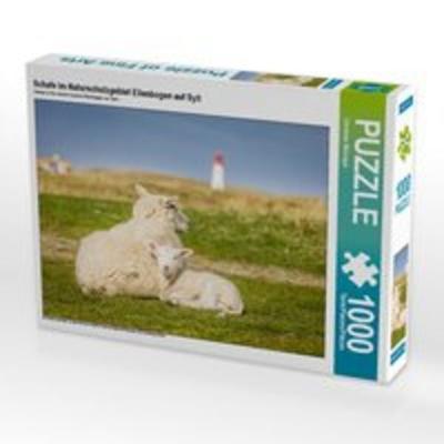 CALVENDO Puzzle Schafe im Naturschutzgebiet Ellenbogen auf Sylt 1000 Teile Lege-Größe 64 x 48 cm Foto-Puzzle Bild von Christian Müringer