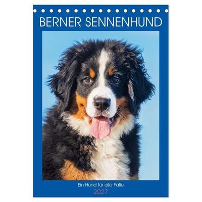 Berner Sennenhund - Ein Hund für alle Fälle (Tischkalender 2027 DIN A5 hoch), CALVENDO Monatskalender