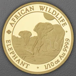 Goldmünze 1/10oz "Elefant" 2026 African Wildlife (Somalia)