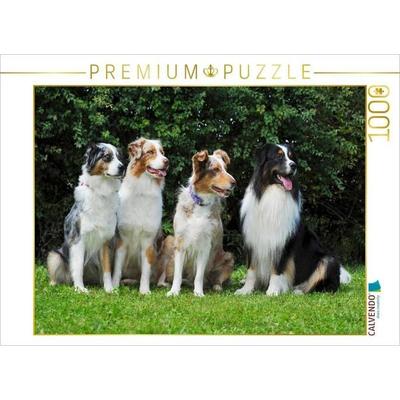 CALVENDO Puzzle Ein Motiv aus dem Kalender Bekannt wie ein bunter Hund. Australian Shepherd - Familienplaner hoch | 1000 Teile Lege-Größe 64x48cm Foto