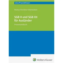 Bürgergeld und Sozialhilfe für Ausländer, Fachbücher von Rodopi Panidou