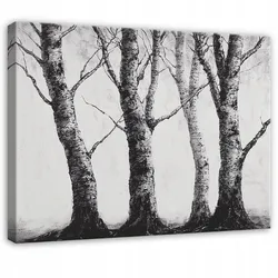 BILDER Wald Schwarz und Weiß Natur Bäume 120x80